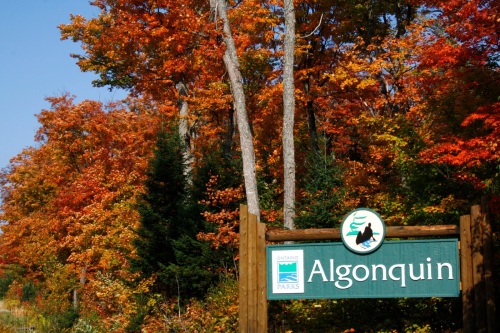 Algonquin Park